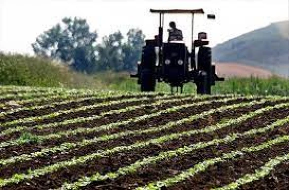 Verimli çiftçilik: Geleceğin tarımı