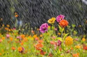 Yağmurun tarıma faydaları