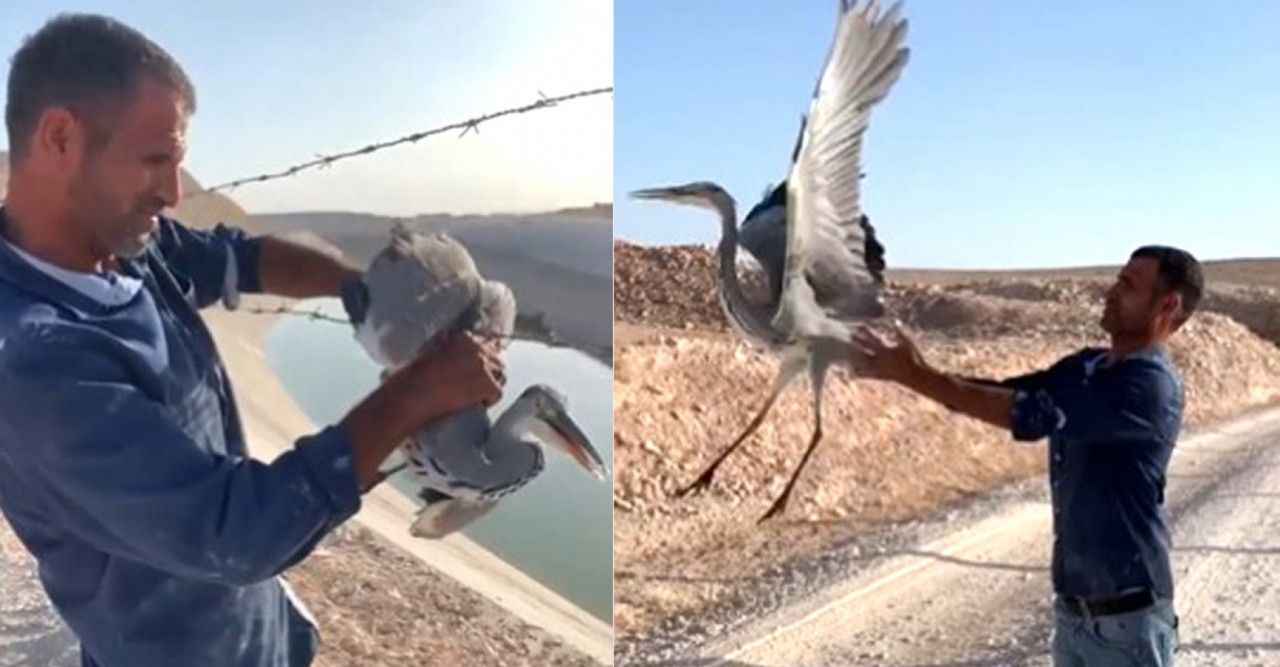 Urfa'da tellere takılan balıkçılı vatandaş kurtardı