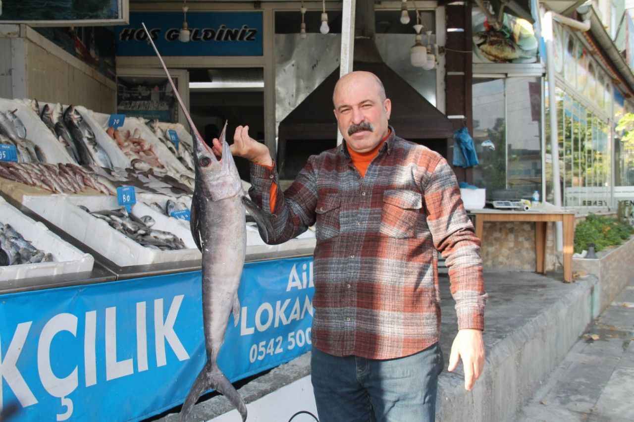 Hamsinin fiyatı tavan yaptı: Tezgahtaki etiketi gören bir daha bakıyor