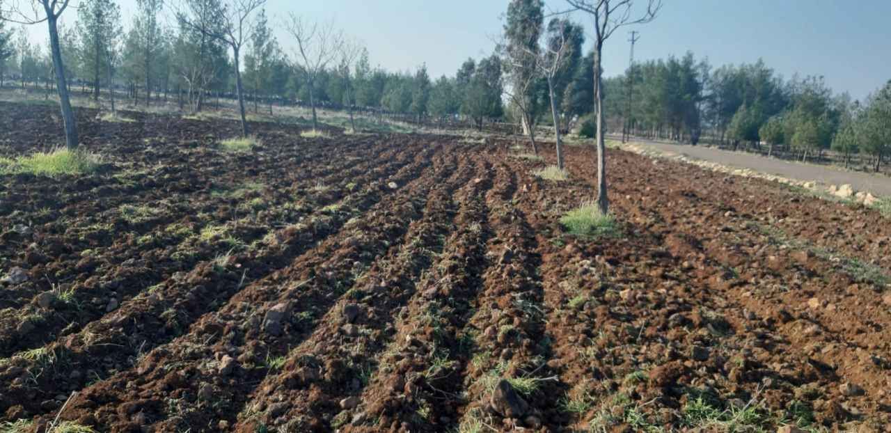 Viranşehir’de mesire alanları sezona hazırlanıyor