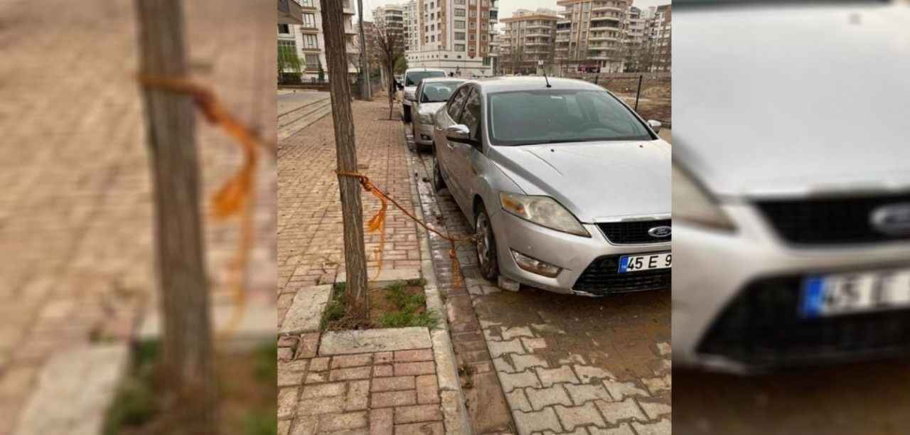 Urfa'da sel önlemi! Arabasını ağaca bağladı
