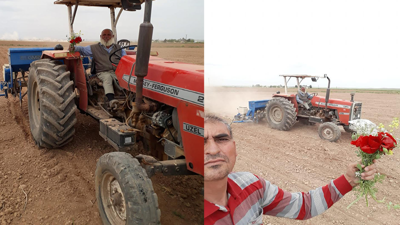Şanlıurfa’da tarlada ilginç 1 Mayıs kutlaması!