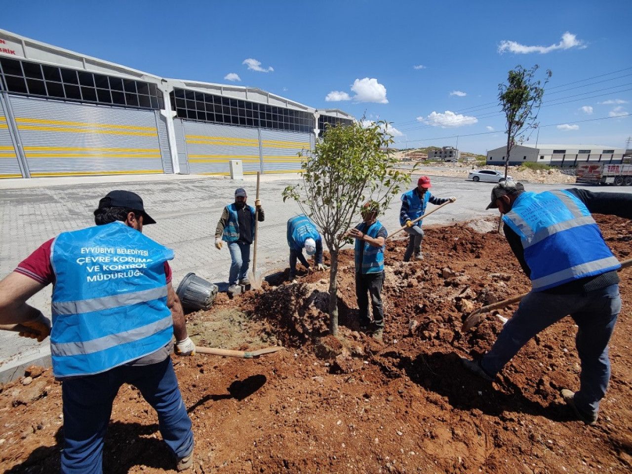 Eyyübiye’de ağaçlandırma çalışmaları devam ediyor