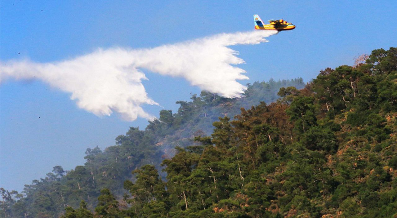 İçişleri Bakanlığı yangın riski olan ormanlık alanlara giriş yasağı getirdi