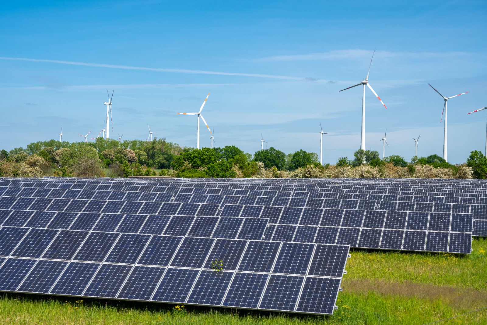 Yenilenebilir enerji teknolojileriyle geleceğe yatırım yapın: iklim değişikliği ile mücadelede ilerlemeler