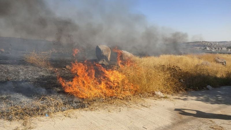 Urfa’da ot yangını
