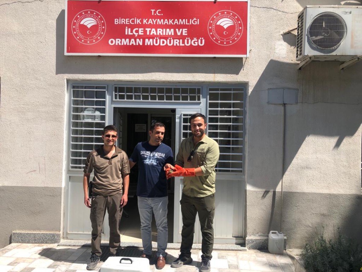Urfa’da yaralı halde bulunan arı kuşu tedaviye alındı