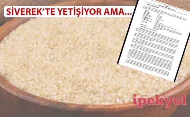 Karacadağ pirinci de Diyarbakır'a gitti