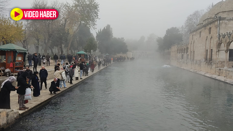 Şanlıurfa'nın maşallahı var! Sisli havaya rağmen akın akın...