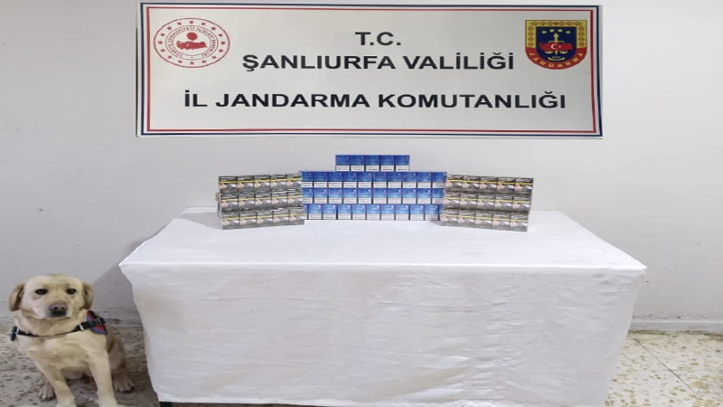 Şanlıurfa’da yapılan aramalarda yüzlerce paket ele geçirildi