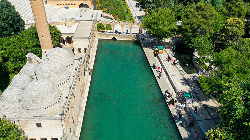 Şanlıurfa'nın yılbaşı bilançosu açıklandı: İşte ele geçirilenler