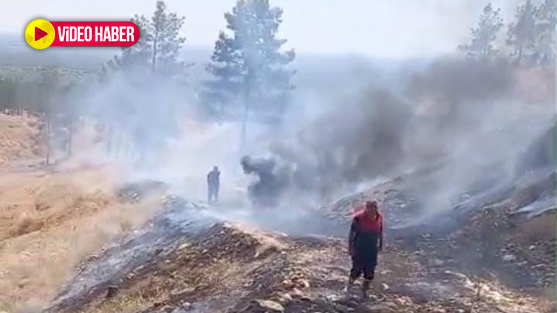 Şanlıurfa’da dikkatsizlik felakete yol açtı: Orman ve GES alanında korkutan yangın