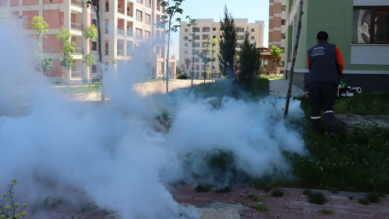 Şanlıurfa'da haşere mücadelesi devam ediyor! 116 personel ve 39 araç ile şehir ilaçlanıyor
