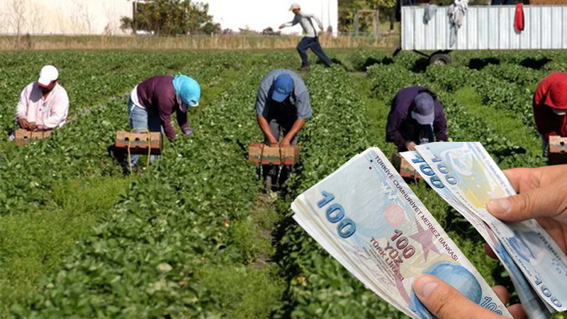 Çiftçilerin hesabına para yatacak