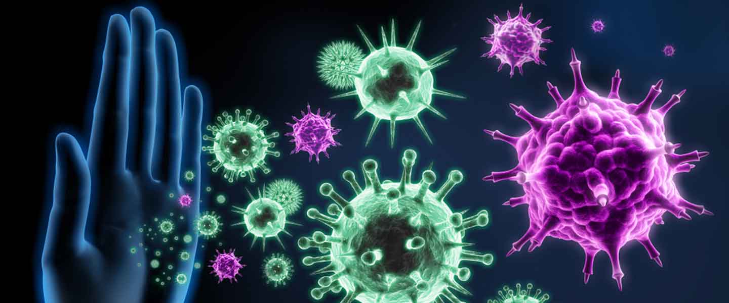 Bağışıklık sistemi: güçlü ve sağlıklı tutmanın yolları