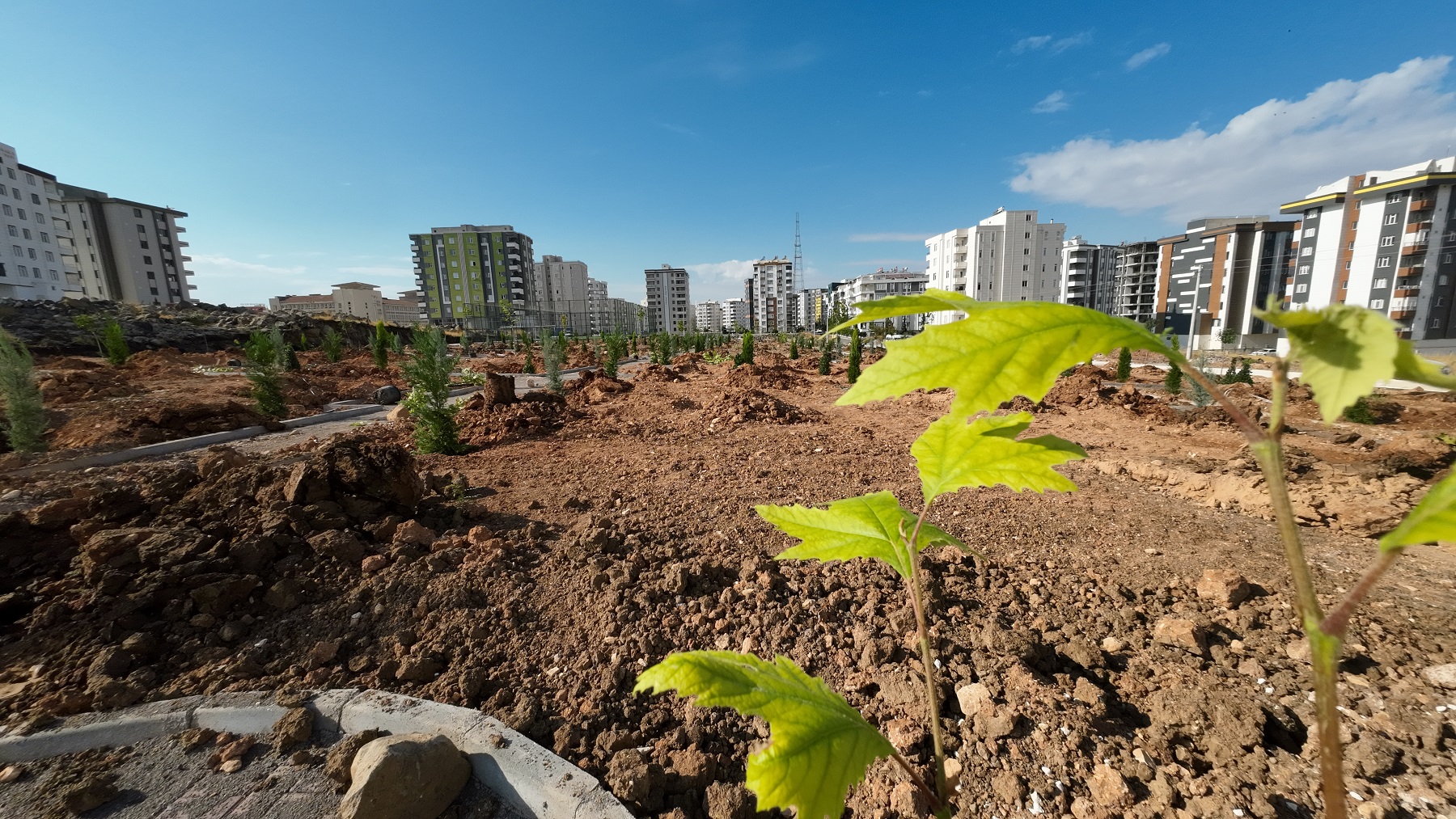 Urfa’da yeşilin yeni adresi: 11 bin metrekarelik park hizmete açılıyor