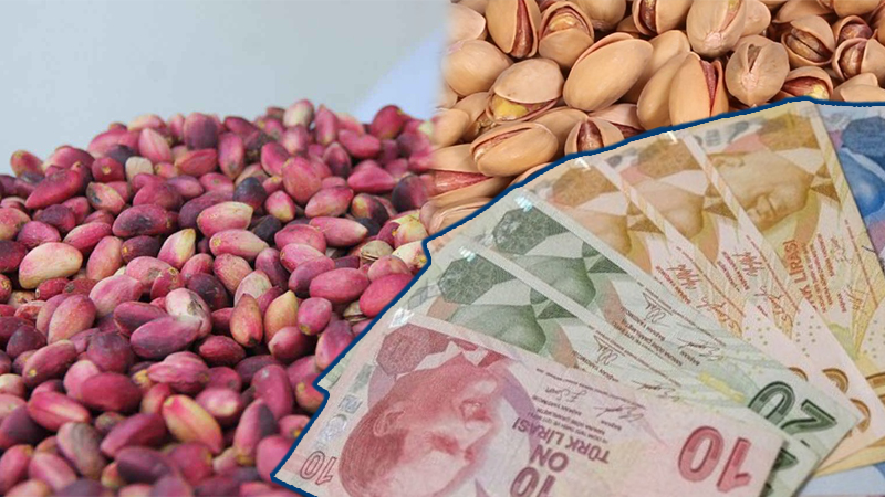 Şanlıurfa fıstığında rekor üstüne rekor! Fiyatlar tavan yaptı