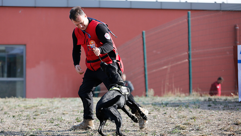 AFAD’tan köpekli timlere yeni düzenleme