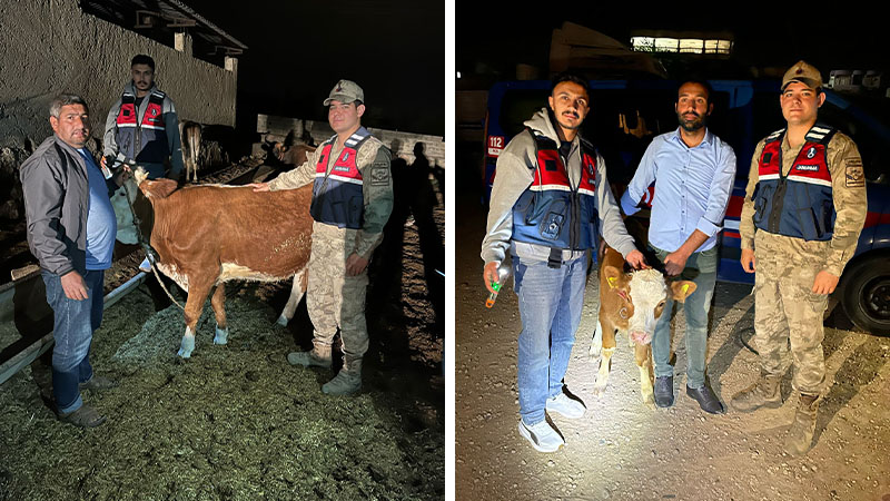 Şanlıurfa’da akşam bıraktı, sabah bulamadı! JASAT olayı çözdü