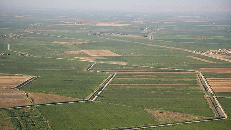 ‘Tarımın başkenti' Şanlıurfa'da bir ilk daha! 50 derecede bile ürün verebiliyor