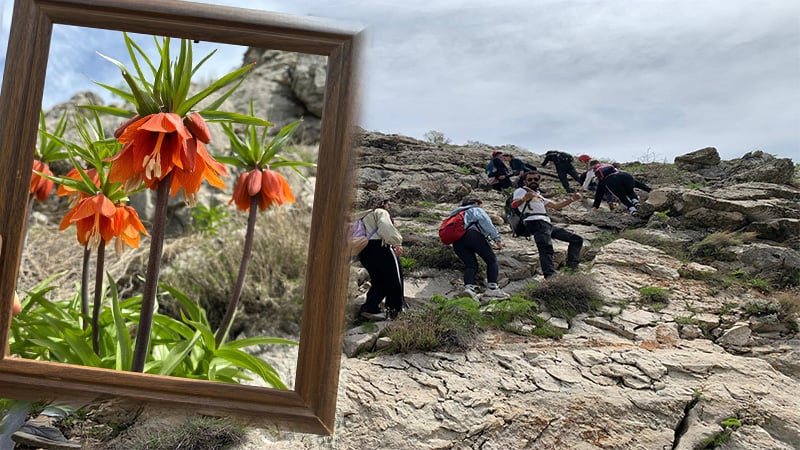 Her yıl sadece 20 gün açıyor: Şanlıurfa’da 60  doğasever "Ağlayan Gelin"in peşine düştü