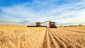 Tarım Sektöründe Yeni Dönem: Sürdürülebilirlik ve Teknoloji