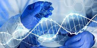 Genetik mühendisliği: geleceğin bilimi