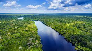 Dünyanın en büyük nehri: Amazon Nehri