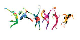 Spor kültürü: bir toplumun yansıması