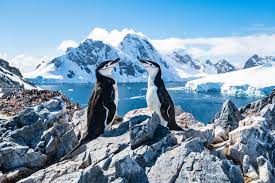 Antarktika: dünyanın en soğuk ve en kurak kıtası