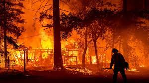 Orman yangınları Türkiye'de can almaya devam ediyor