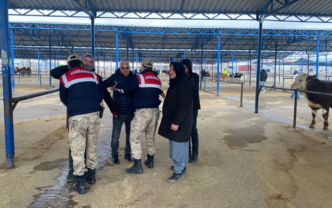 Siverek'te jandarma ve polisten operasyon! Ceza üstüne ceza...