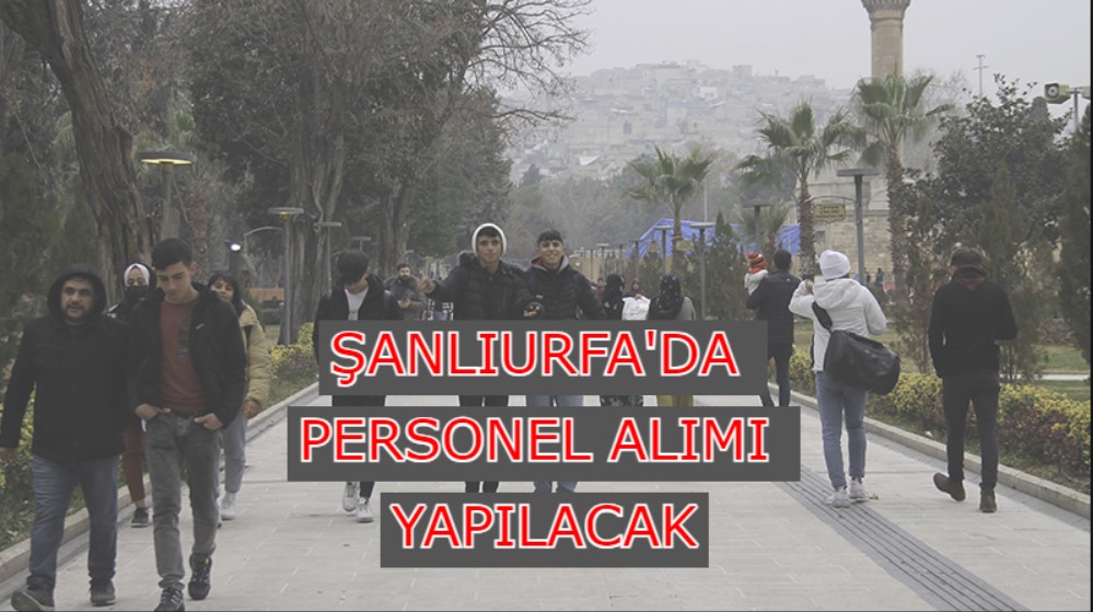 İş arayanlar dikkat: O kurum Şanlıurfa’da personel alacak