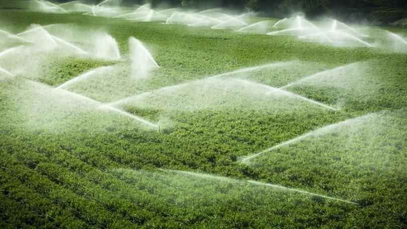 Şanlıurfa’da sulama ücretleri açıklandı! Çiftçiler tepkili