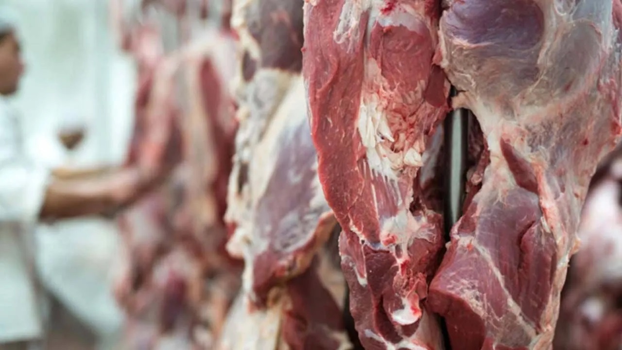 Güncel fiyatlar açıklandı! Şanlıurfa’da karkas et fiyatları kaç lira oldu?