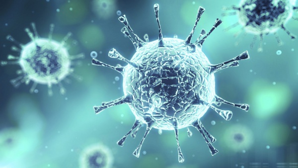 Virüsler: Nedir, Nasıl Yayılır, Nasıl Korunulur?