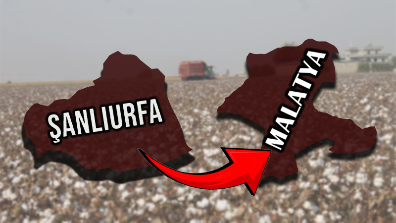 Şanlıurfa’nın beyaz altını Malatya’da değerine değer katıyor