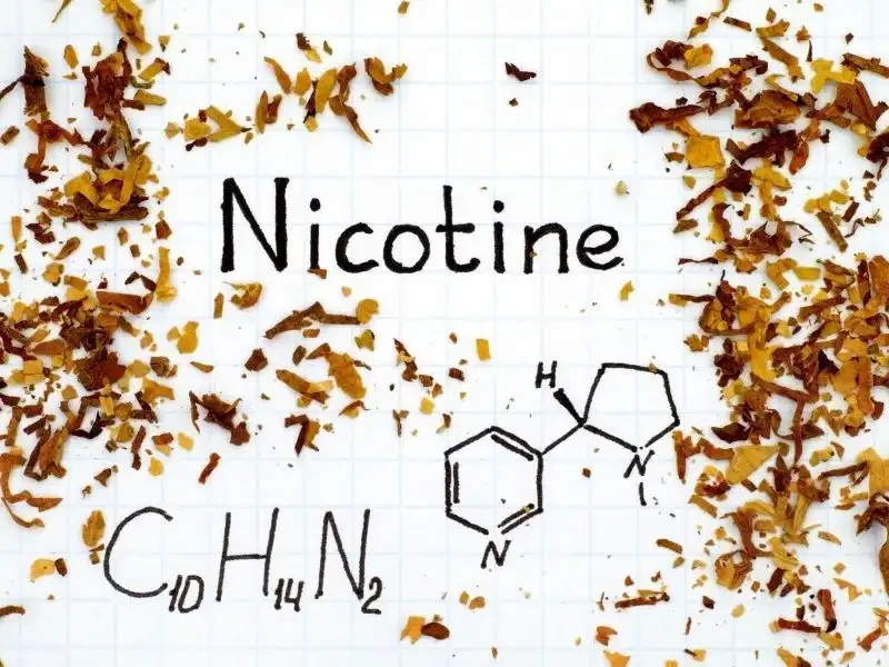 Nikotin: Bağımlılığın temeli