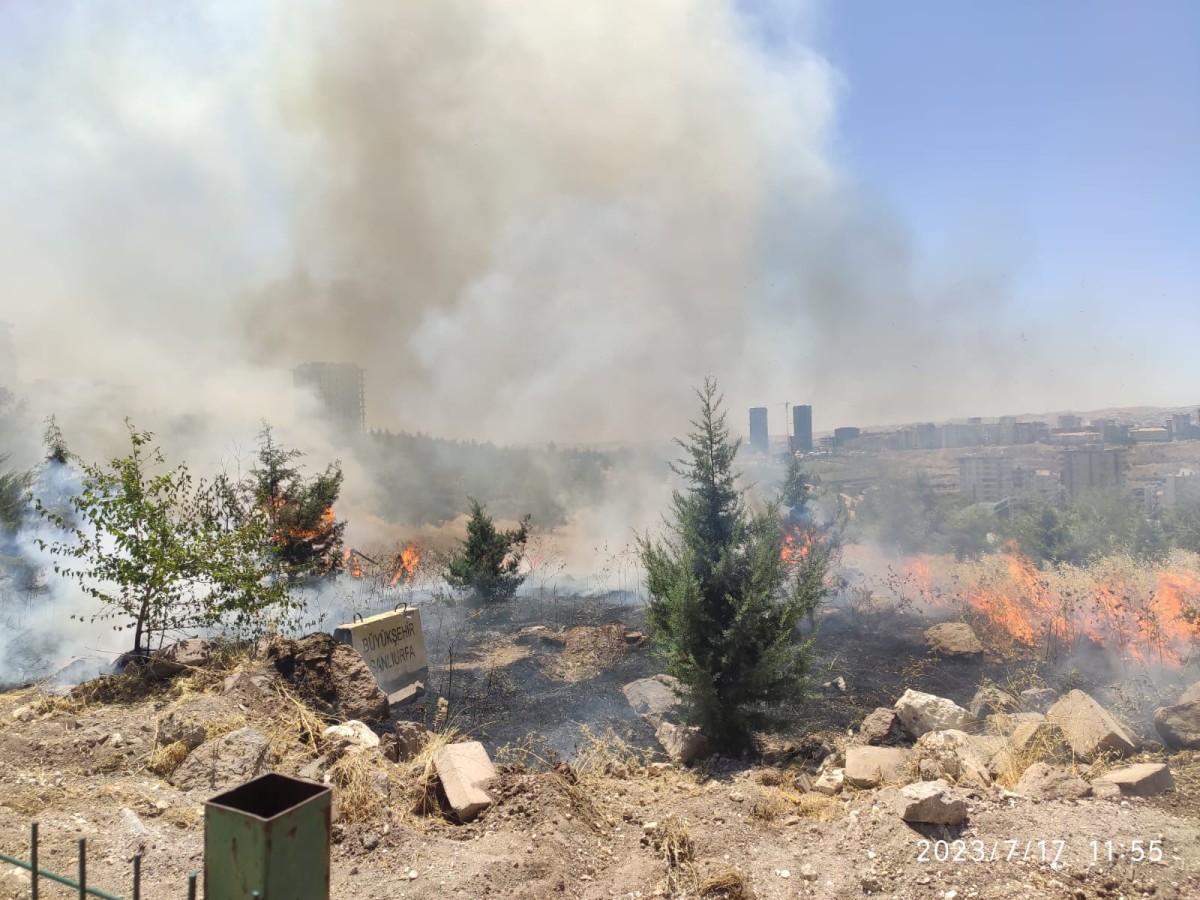 Urfa’da ormanlık alanda yangın