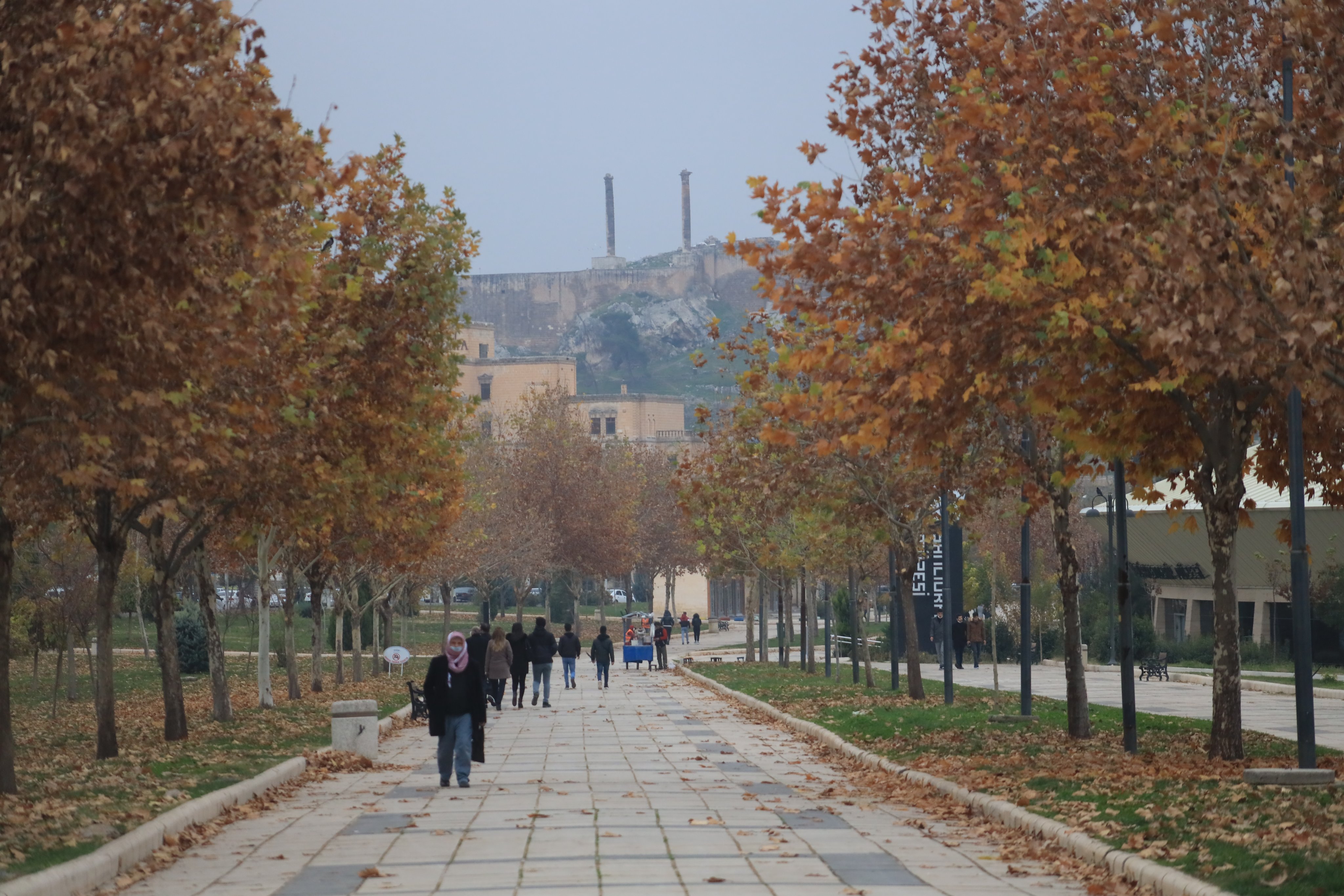 Şanlıurfa bölgedeki 3 büyükşehir dahil 9 ili solladı!