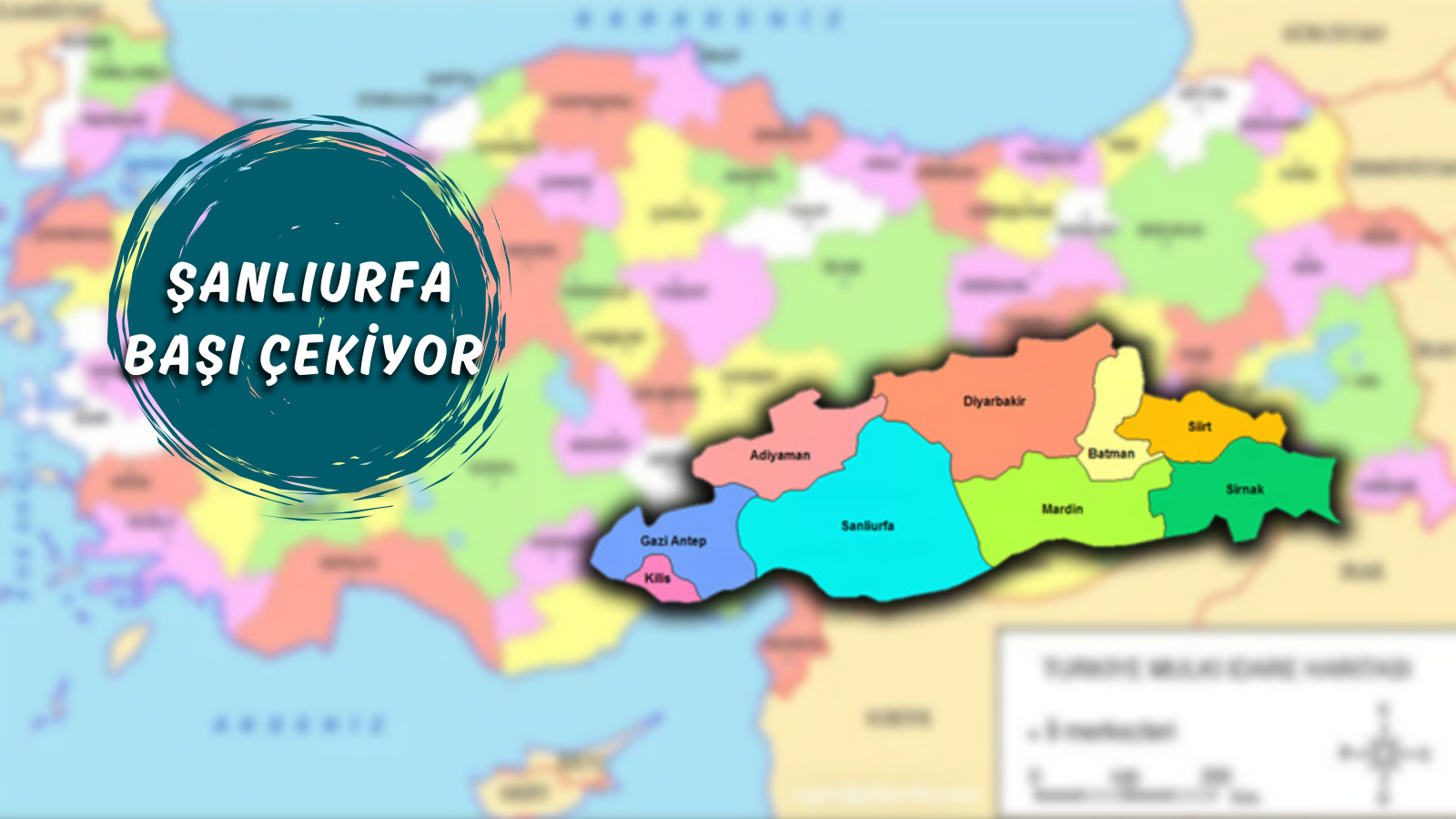 Güneydoğu Türkiye’yi gençleştiriyor! Şanlıurfa başı çekiyor