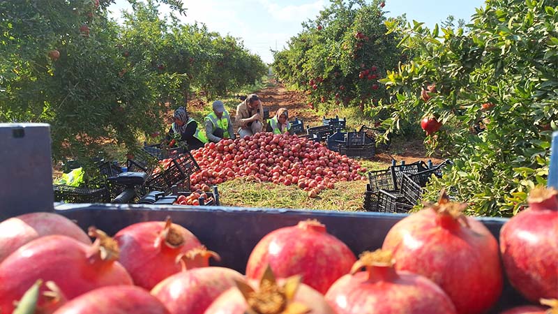 Şanlıurfa'da 'Gezerken Anadolu' programı çekimleri başladı