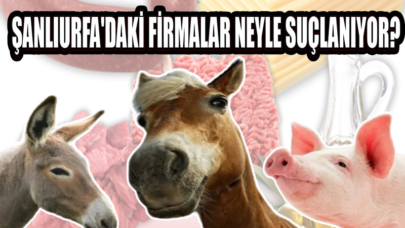 Şanlıurfa’da hangi markalar kara listede: Neyle suçlanıyorlar?
