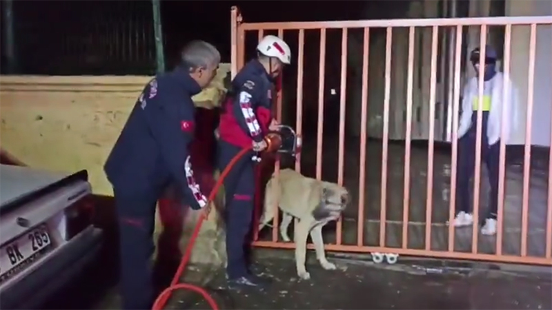 Şanlıurfa'da itfaiye ekipleri köpeğin imdadına yetişti