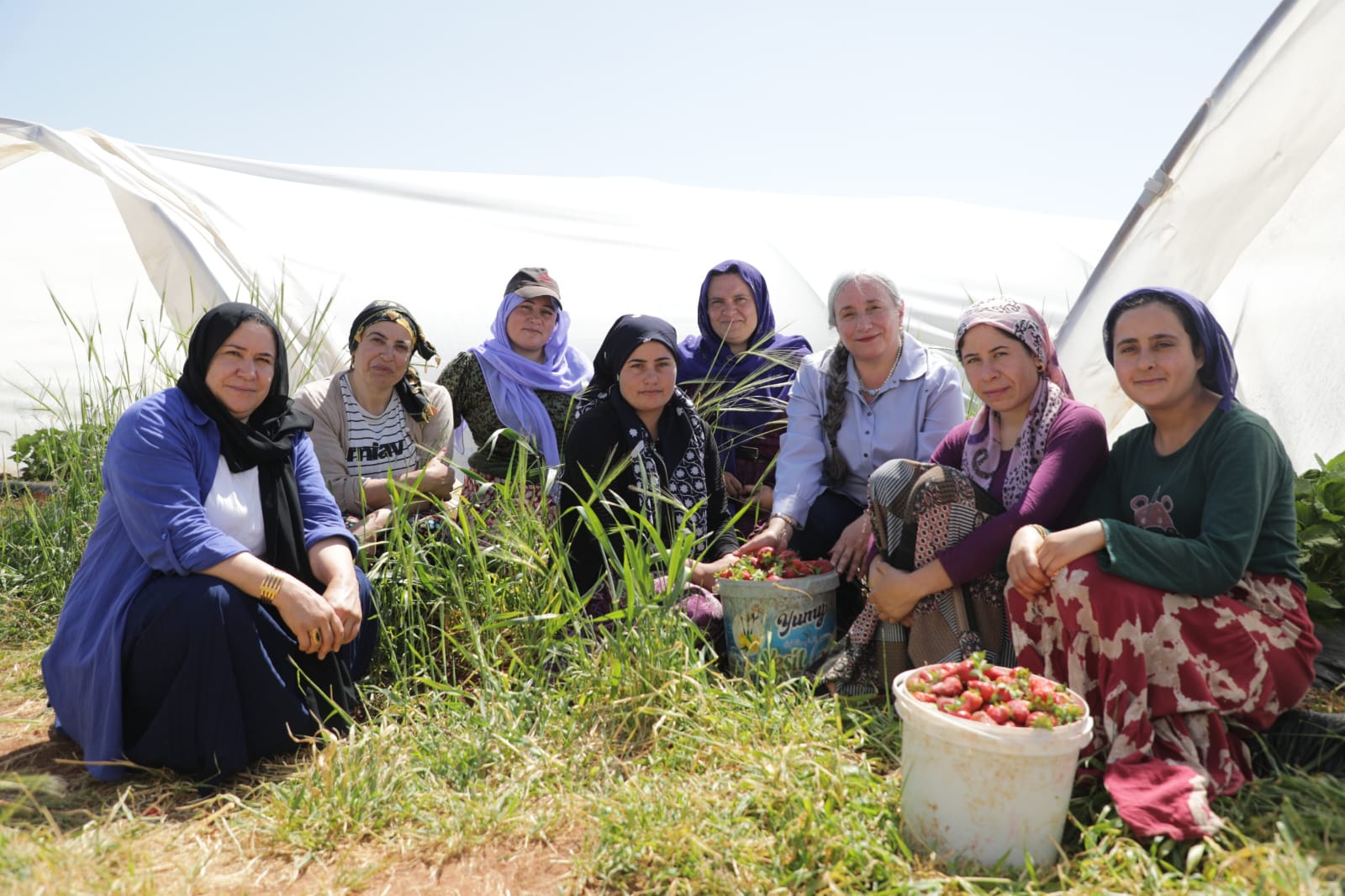 Şanlıurfa'da kadınlar "yapılamaz" denileni yaptı! Tarımda devrim…