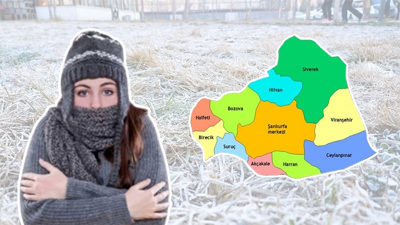 Şanlıurfa’da Sibirya etkisi! Buz kesti…