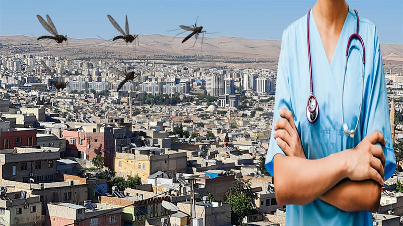 Şanlıurfa’nın kan emiciler uyandı! Uzmanlardan kritik uyarı