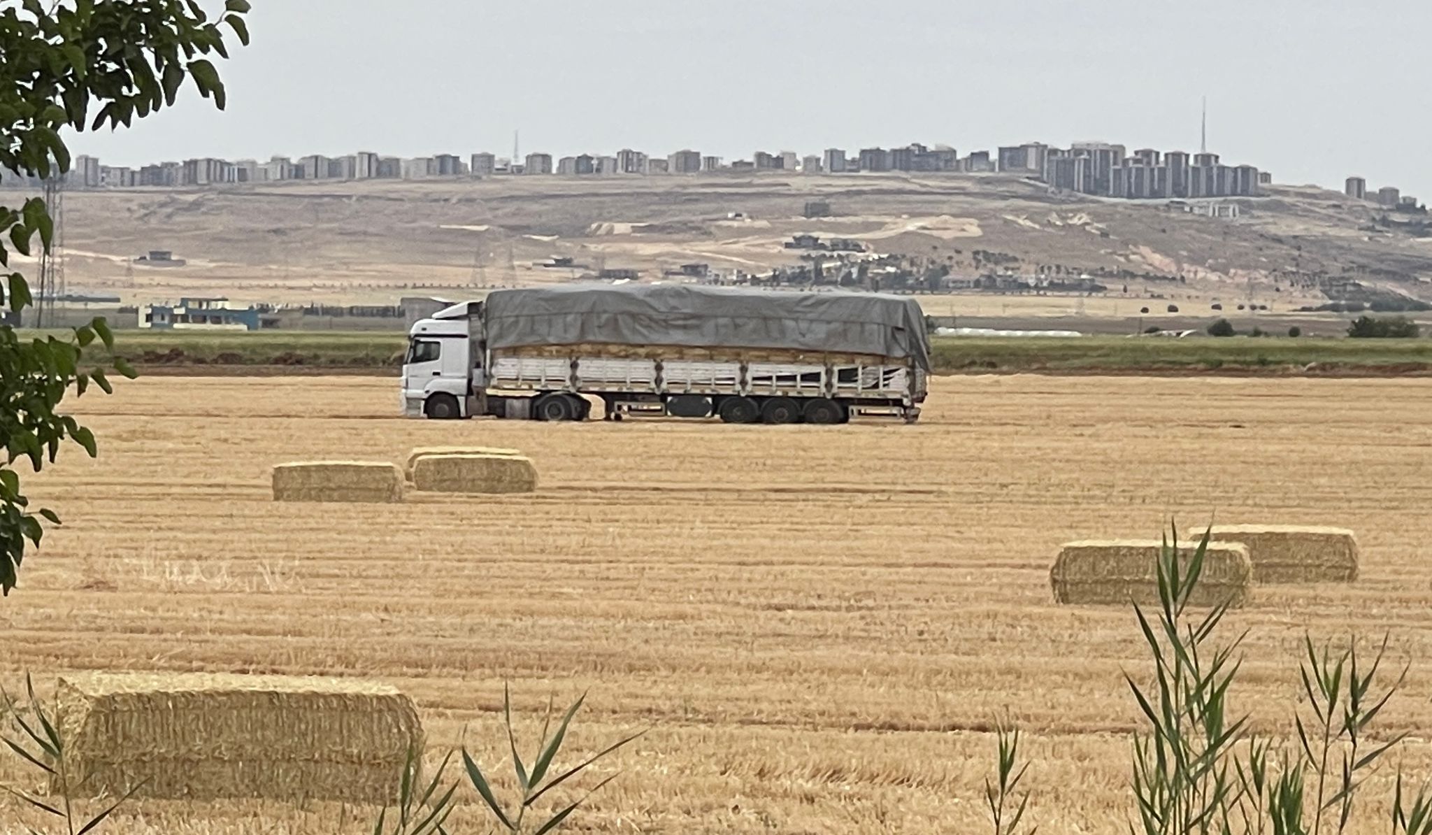 Türkiye’nin can simidi Şanlıurfa oldu!