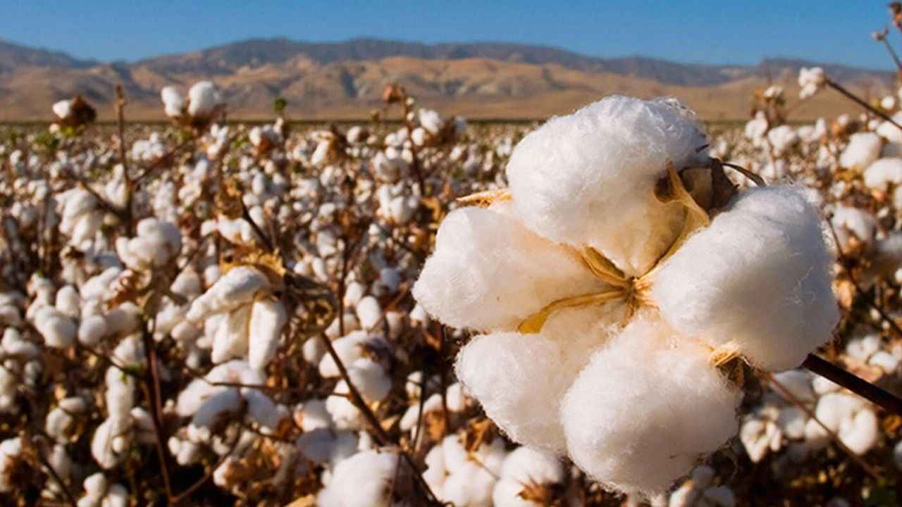 Türkiye’nin gündemine oturacak!  Tarım çalıştayı Şanlıurfa’da yapılacak